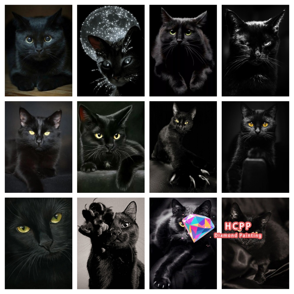 Resin Art Kits - unframe Black Cat Animal Diamond Painting