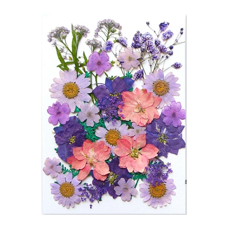 Dried Flower Leaves Set For Ca – Resin Art Bookmark Bewertung und Preis