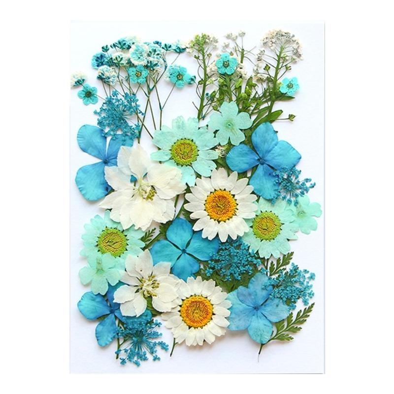 Dried Flower Leaves Set For Ca – Resin Art Bookmark Bewertung und Preis