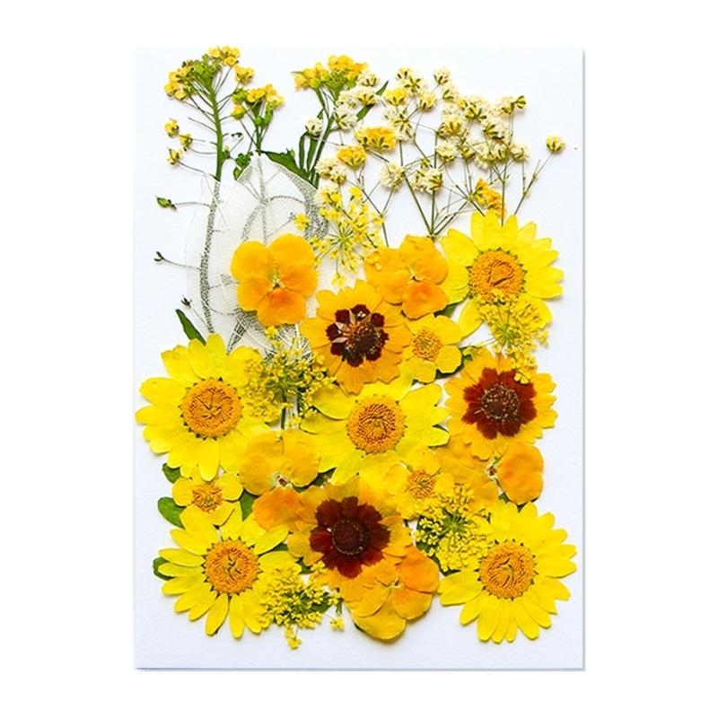 Dried Flower Leaves Set For Ca – Resin Art Bookmark Bewertung und Preis
