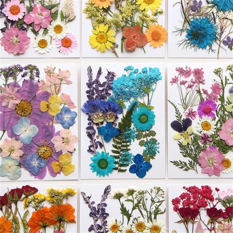 16/18/19/22Pcs Natural Pressed – Resin Art Bookmark Bewertung und Preis