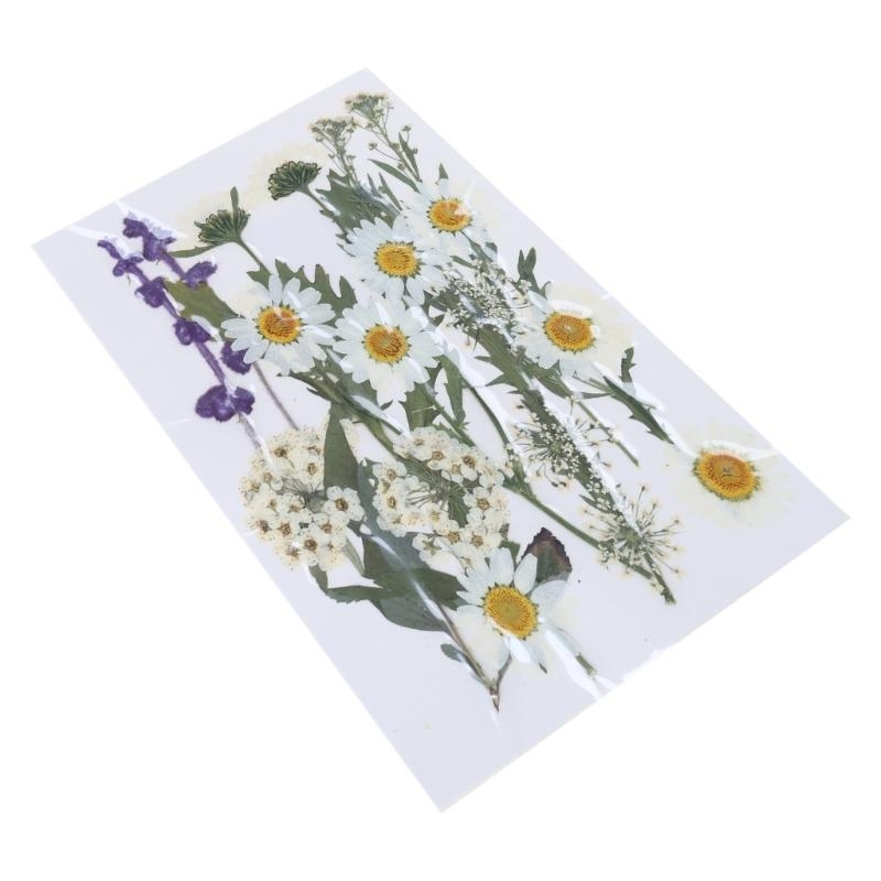 16/18/19/22Pcs Natural Pressed – Resin Art Bookmark Bewertung und Preis