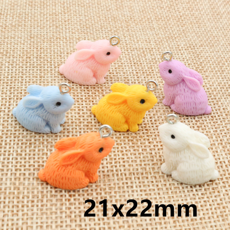 10PCS Resin Pendant Charms Rab – Resin Art Keychain Bewertung und Preis